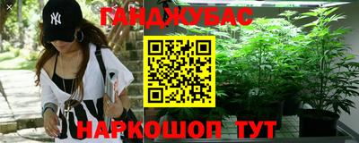 шишки Лесосибирск