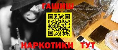 шишки Лесосибирск