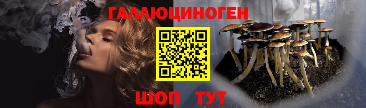 Псилоцибиновые грибы прущие грибы  Вход с VPN  Звенигород 