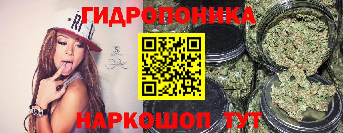 Марихуана гибрид Звенигород